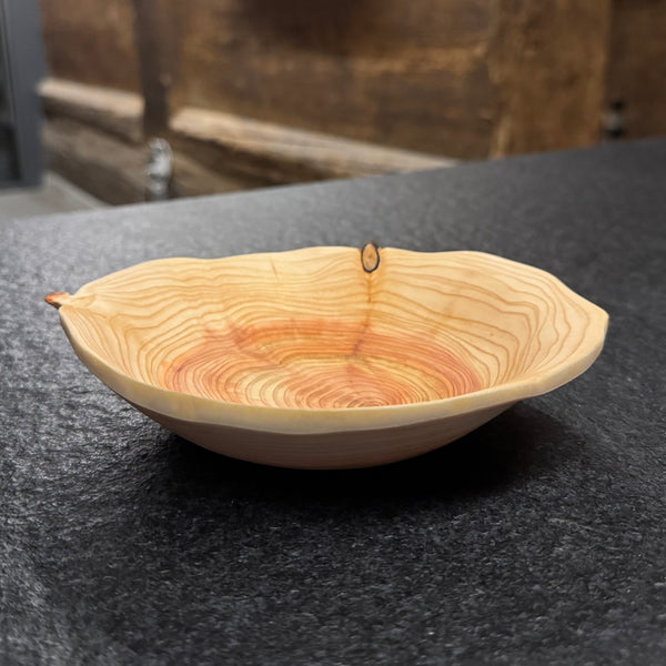Schale • Zypresse, ø 18 cm, Höhe 4 cm