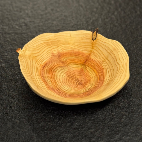 Schale • Zypresse, ø 18 cm, Höhe 4 cm