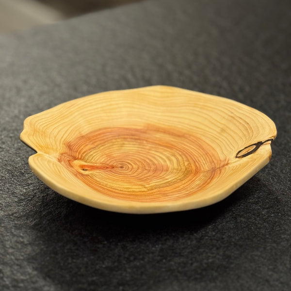 Schale • Zypresse, ø 17,5 cm, Höhe 4 cm