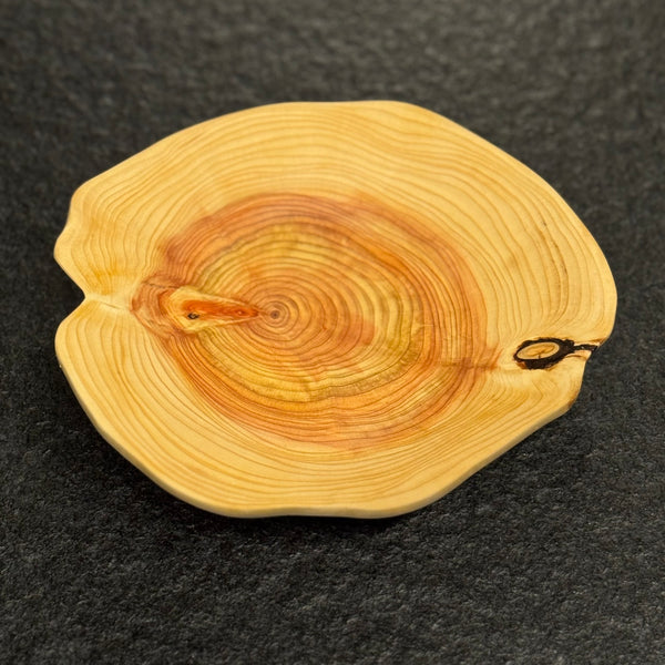 Schale • Zypresse, ø 17,5 cm, Höhe 4 cm