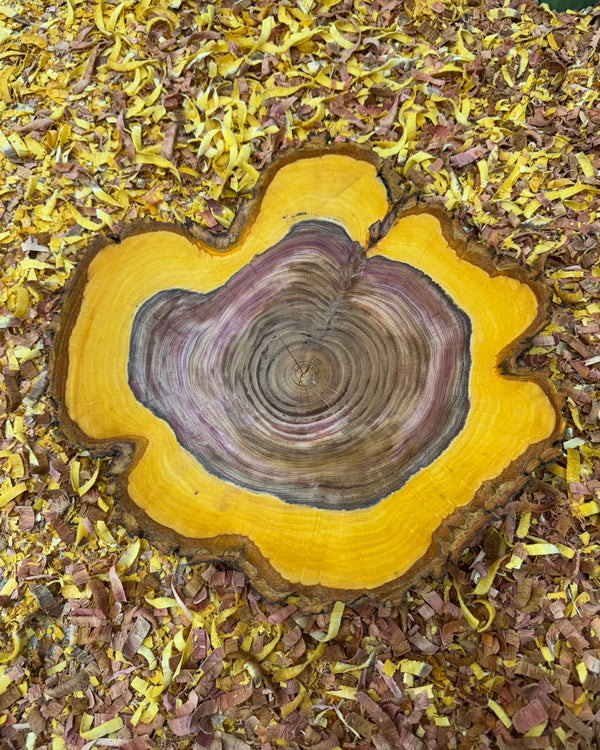 Schale • Zwetschge, ø 31 cm, Höhe 9 cm