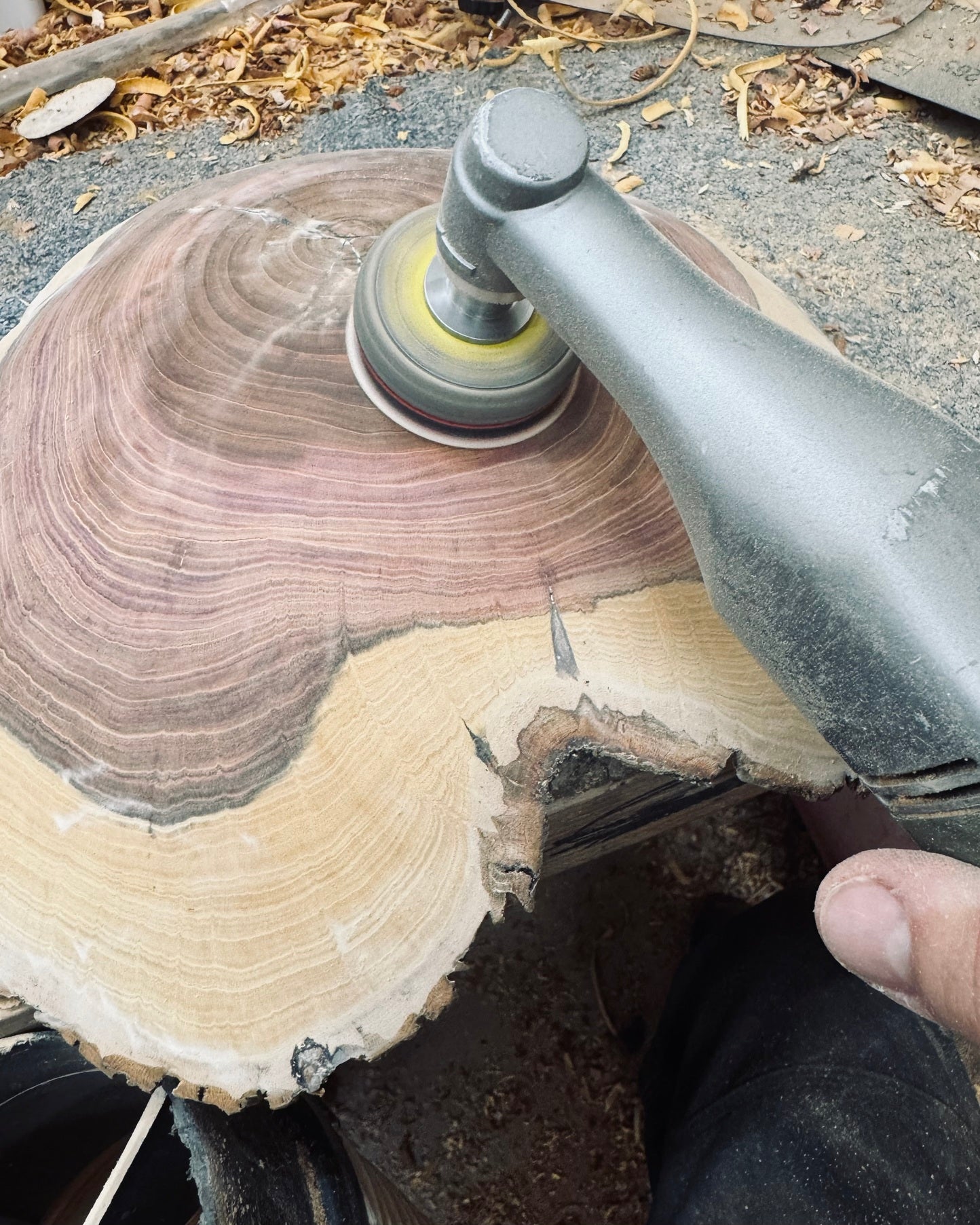 Schale • Zwetschge, ø 31 cm, Höhe 9 cm