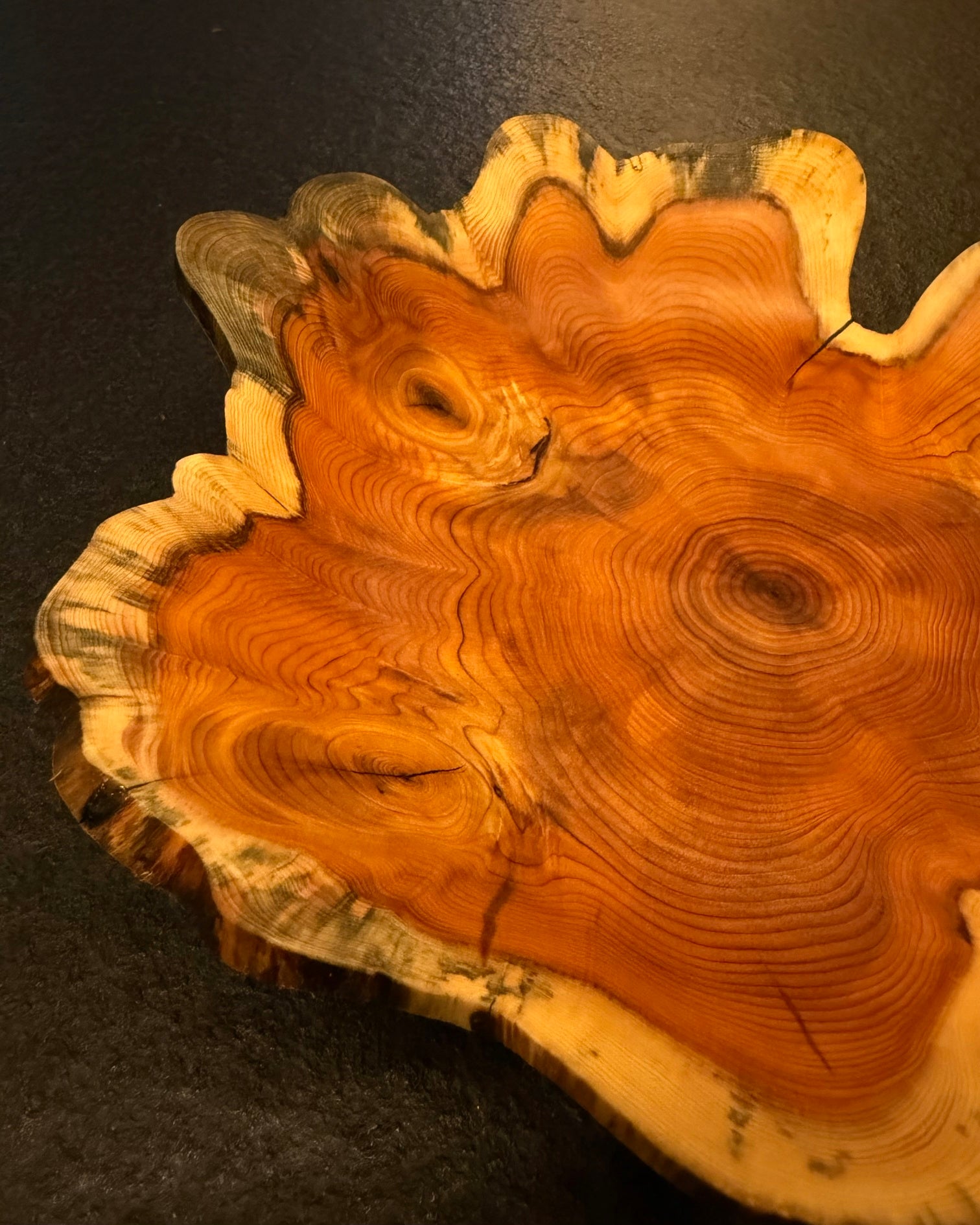 Schale • Eibe, ø 27 cm, Höhe 6 cm