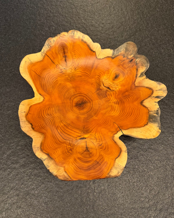 Schale • Eibe, ø 27 cm, Höhe 6 cm