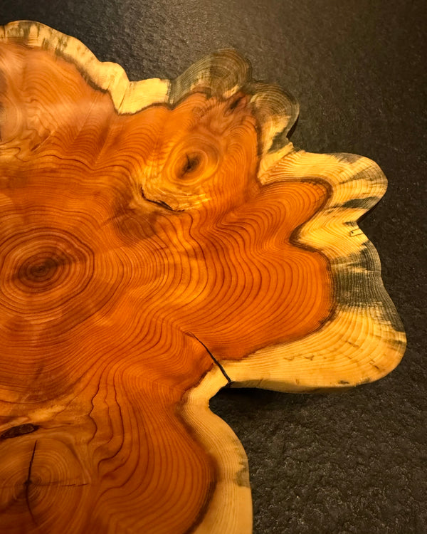 Schale • Eibe, ø 27 cm, Höhe 6 cm