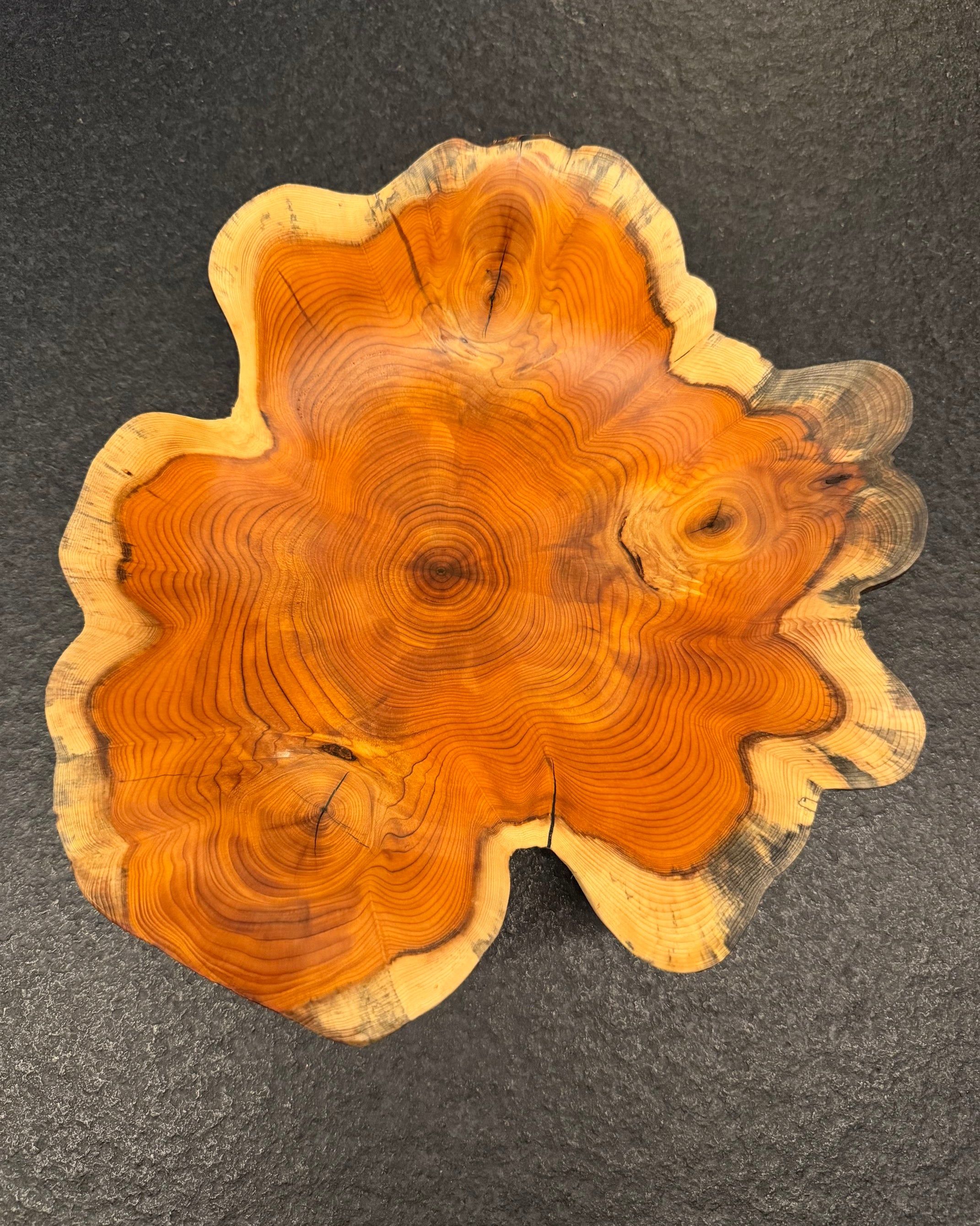 Schale • Eibe, ø 27 cm, Höhe 6 cm