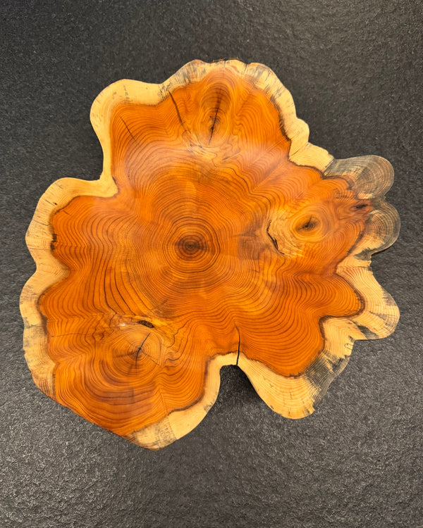 Schale • Eibe, ø 27 cm, Höhe 6 cm