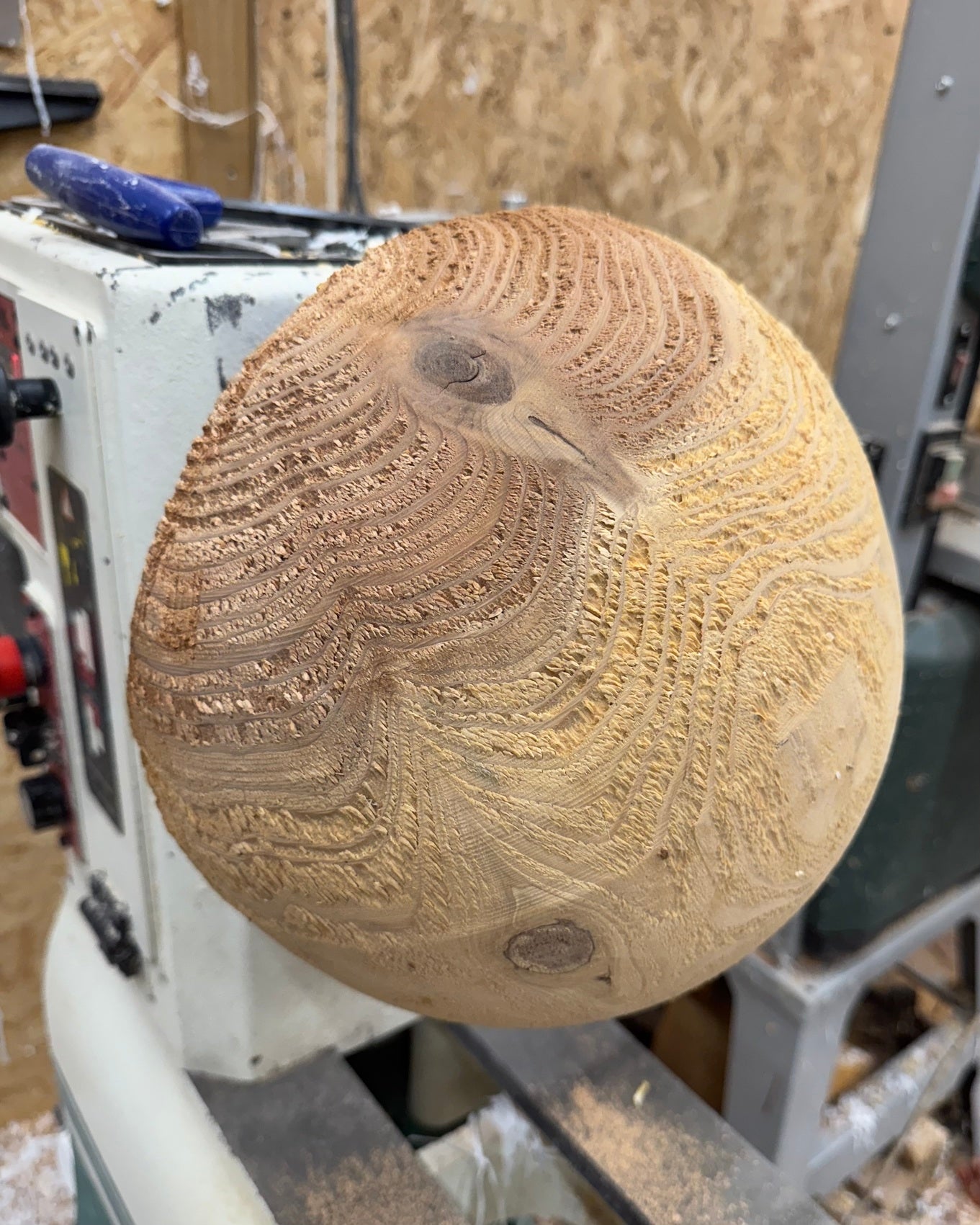Schale • Japanische Sicheltanne gebürstet, ø 27 cm, H 12 cm