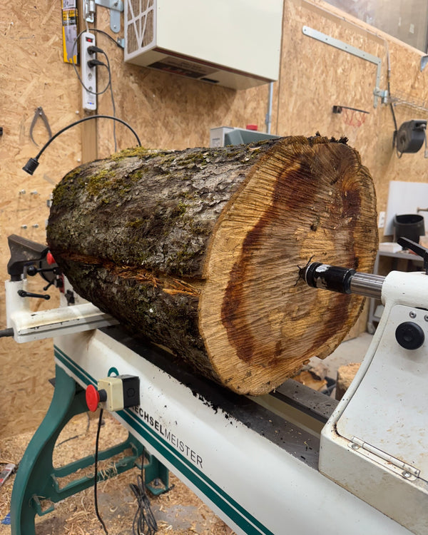 Gefäss • Apfelbaum, ø 35 cm, Höhe 52 cm