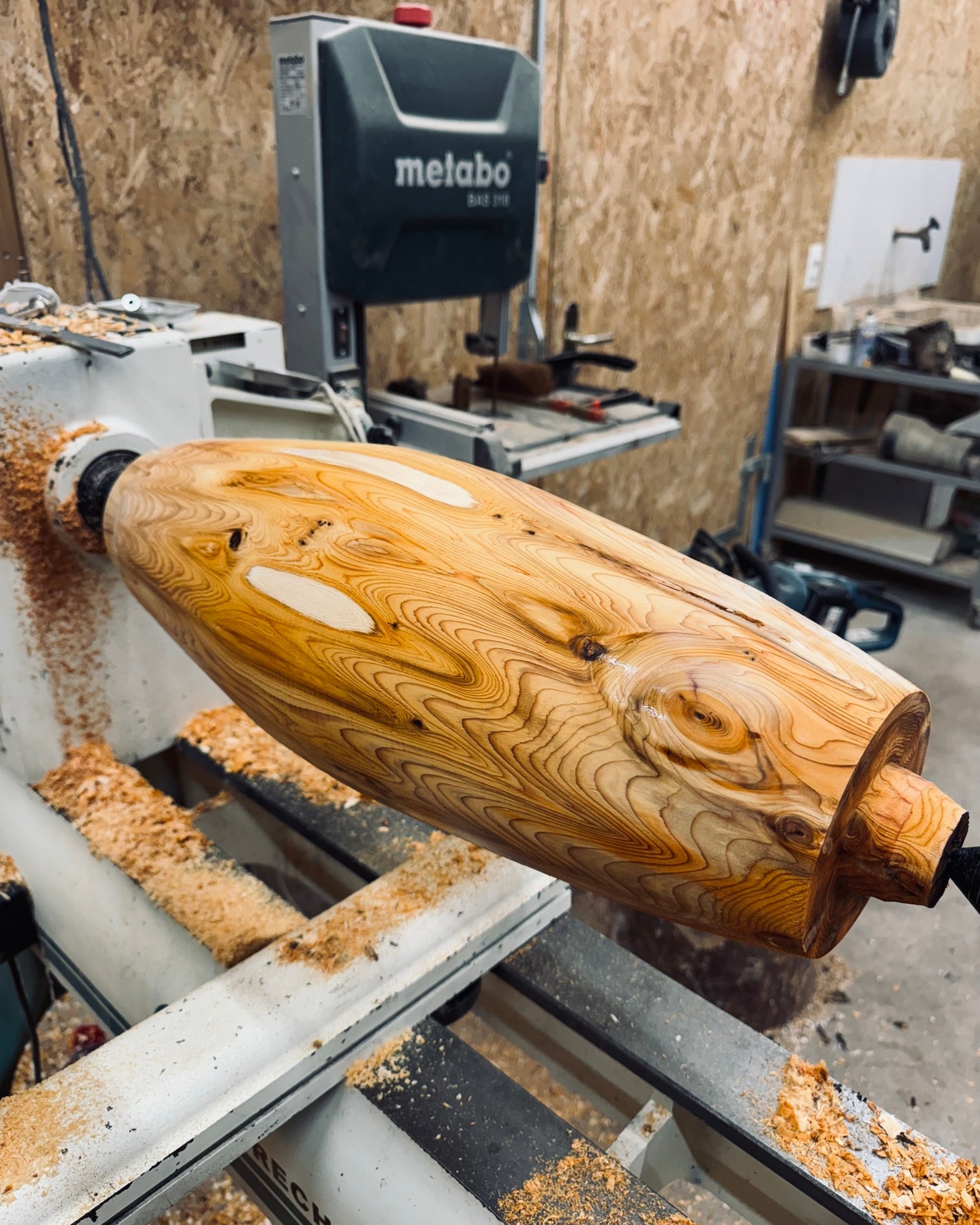 Vase • Eibe, ø 19 cm, Höhe 51 cm