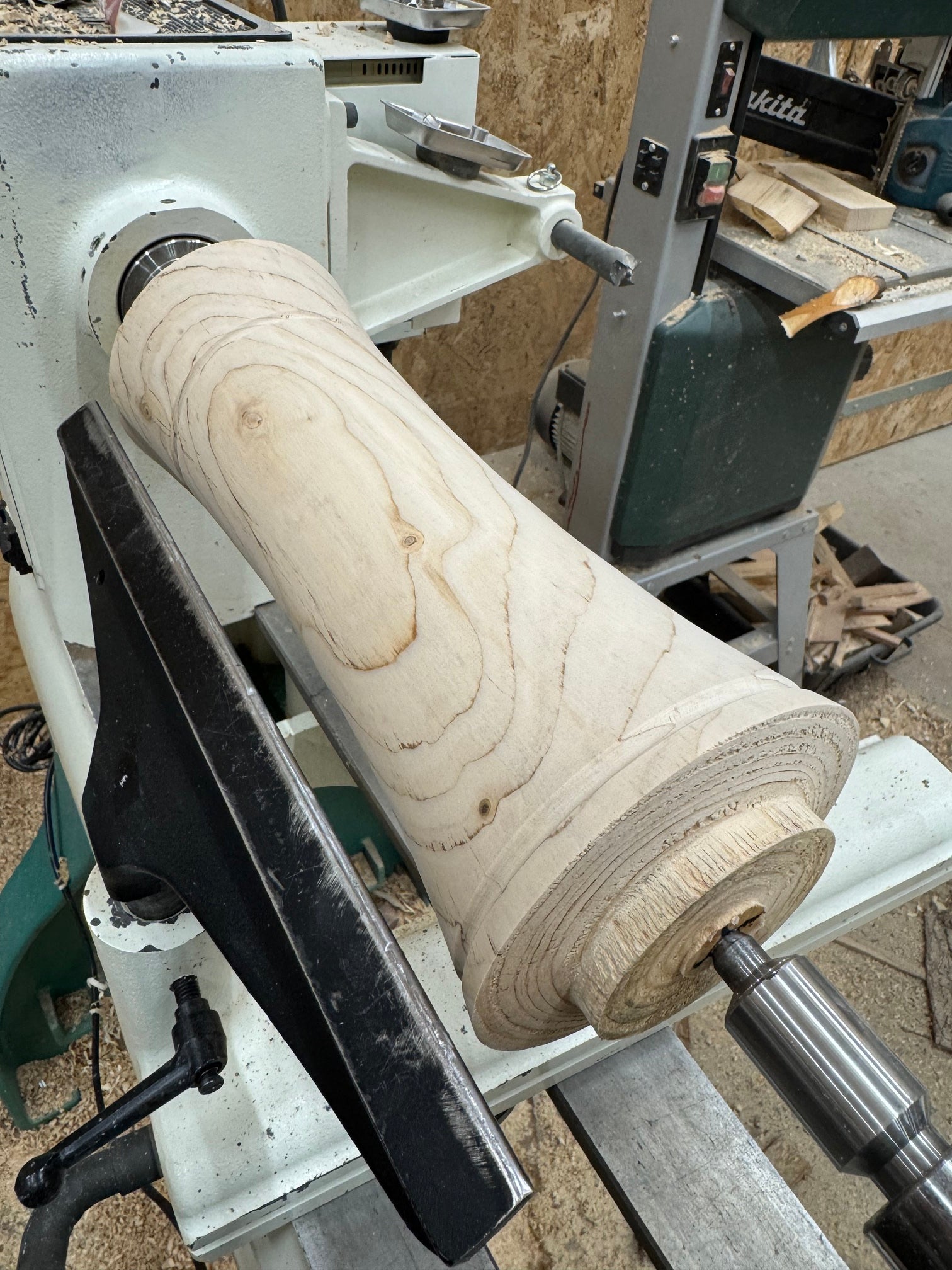 Zeitkapsel • Thuja, ø 15 cm, H 35 cm