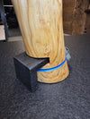 Zeitkapsel • Thuja, ø 15 cm, H 35 cm