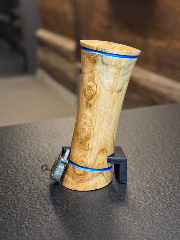 Zeitkapsel • Thuja, ø 15 cm, H 35 cm