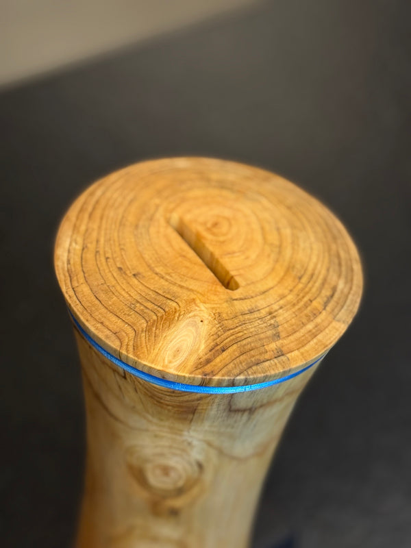 Zeitkapsel • Thuja, ø 15 cm, H 35 cm