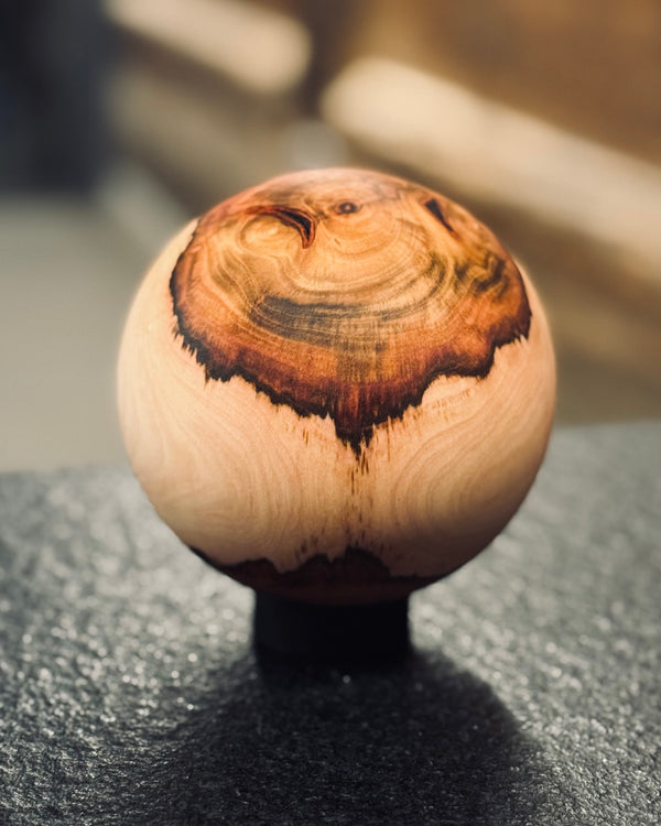 Kugel • Kirschlorbeer, ø 11,5 cm