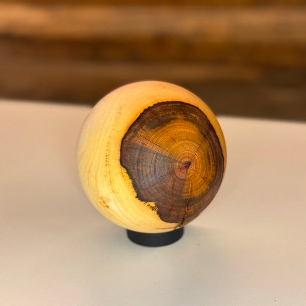 Kugel • Kirschlorbeer, ø 11,5 cm
