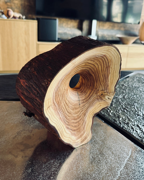Objekt • Thuja mit Loch, ø 21x24cm