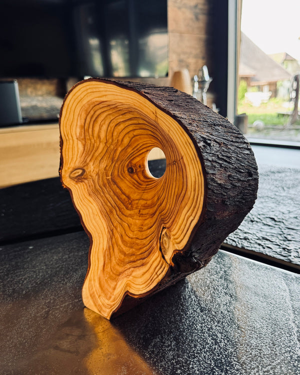 Objekt • Thuja mit Loch, ø 21x24cm