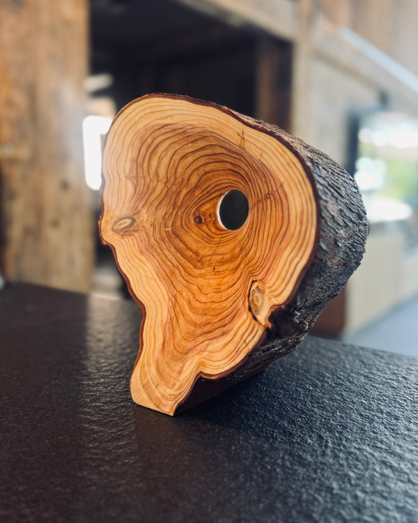 Objekt • Thuja mit Loch, ø 21x24cm