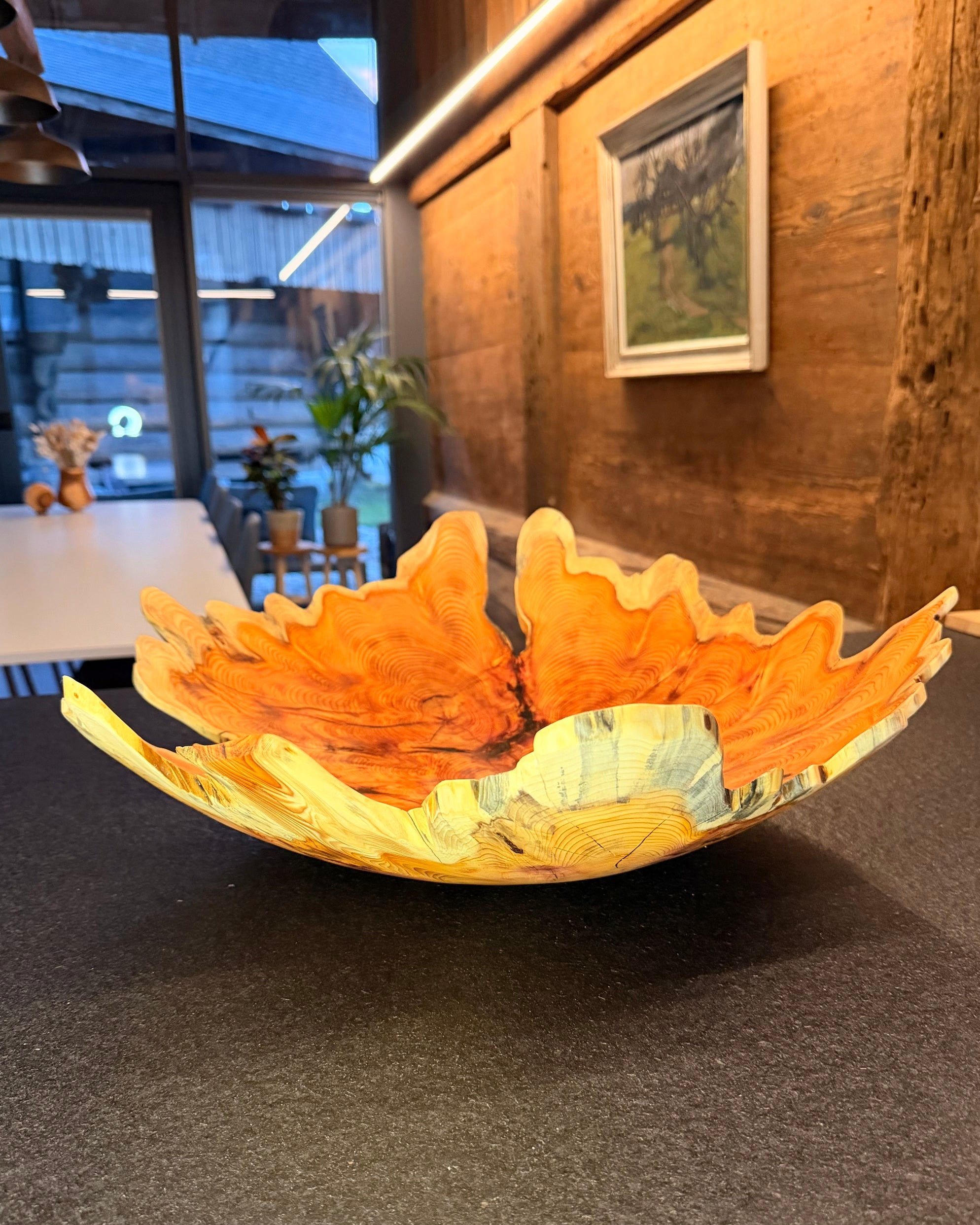 Schale • Eibe, ø 58 cm, Höhe 17 cm