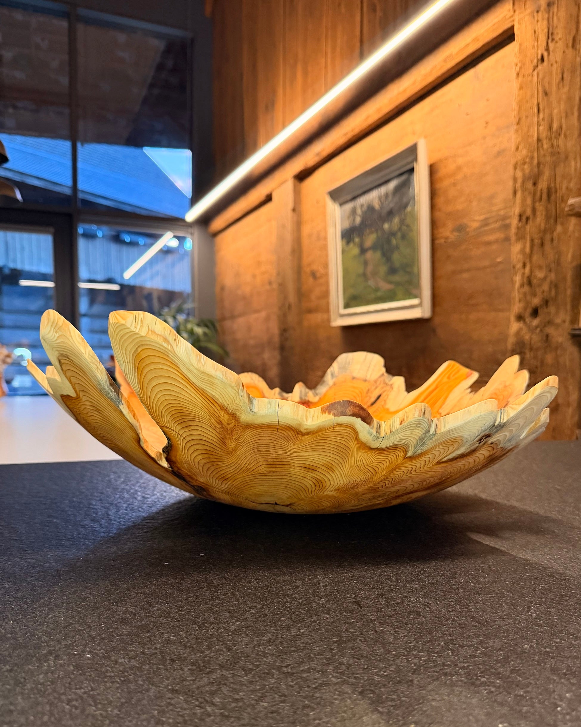 Schale • Eibe, ø 58 cm, Höhe 17 cm