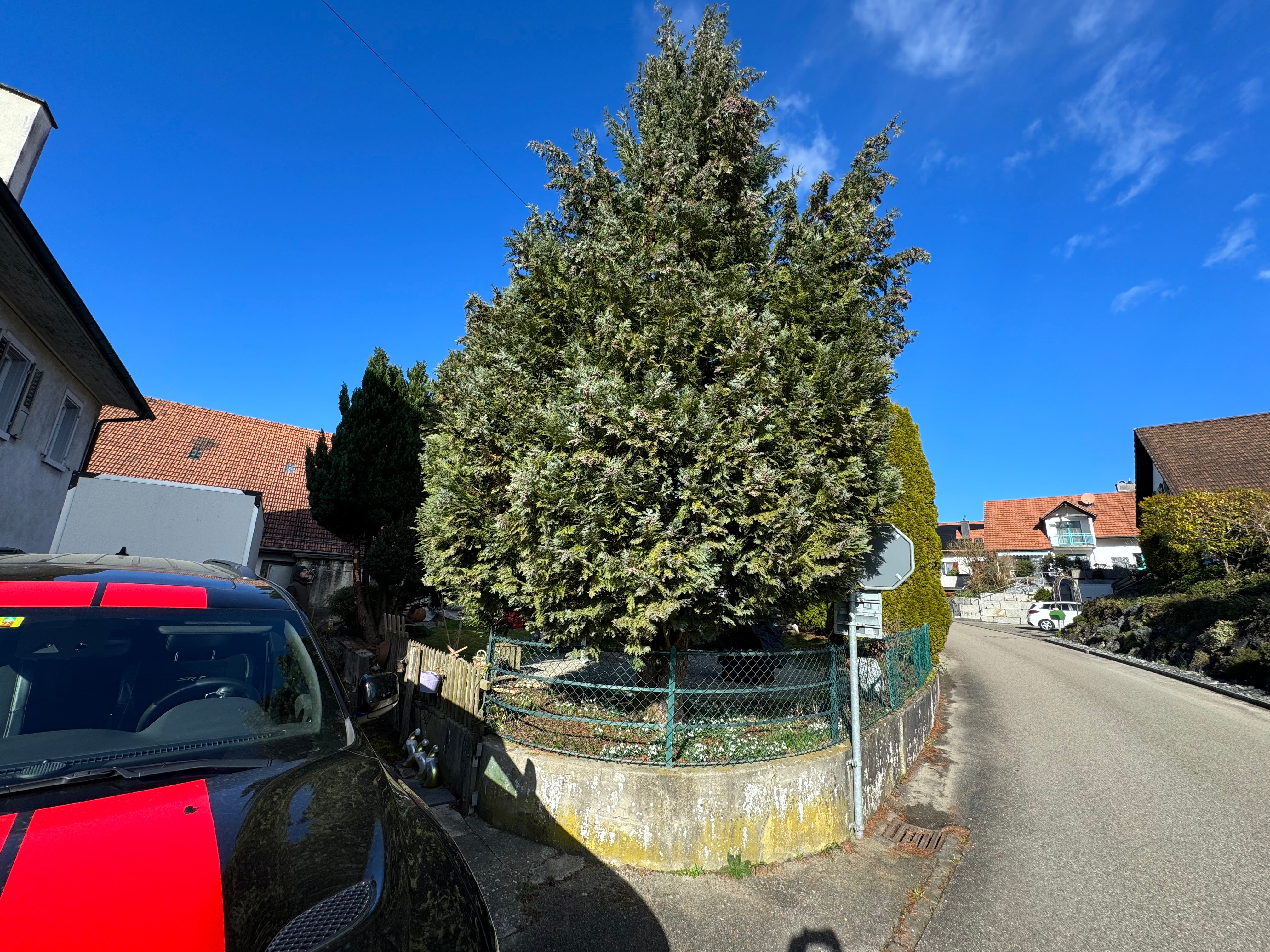 Schale • Lebensbaum, ø 24,5 cm, Höhe 8 cm